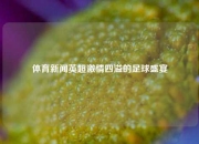 体育新闻英超激情四溢的足球盛宴