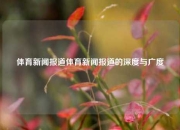 体育新闻报道体育新闻报道的深度与广度