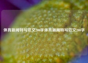 体育新闻特写范文200字体育新闻特写范文200字