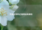外国买球的正规网站有哪些
