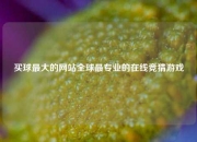 买球最大的网站全球最专业的在线竞猜游戏