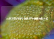 nba买球的网站专业选择与便捷购物体验