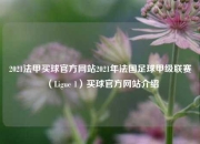 2021法甲买球官方网站2021年法国足球甲级联赛（Ligue 1）买球官方网站介绍
