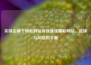 买球去哪个网站网址寻找最佳博彩网站，选择与风险的平衡