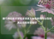 哪个网站能买球呢全球各大知名购物平台如何满足您的球类爱好