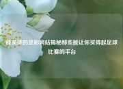 能买球的足彩网站揭秘那些能让你买得起足球比赛的平台