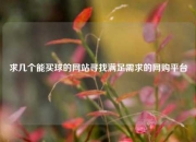 求几个能买球的网站寻找满足需求的网购平台