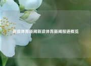 新浪体育新闻新浪体育新闻报道概览
