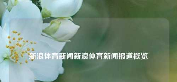 新浪体育新闻新浪体育新闻报道概览