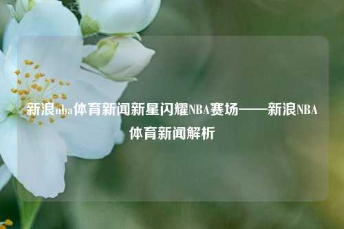 新浪nba体育新闻新星闪耀NBA赛场——新浪NBA体育新闻解析
