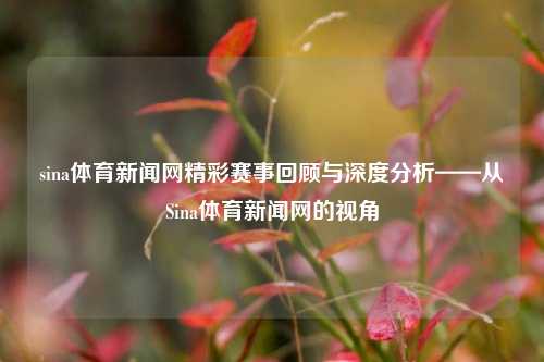 sina体育新闻网精彩赛事回顾与深度分析——从Sina体育新闻网的视角