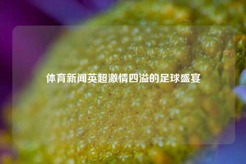 体育新闻英超激情四溢的足球盛宴