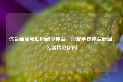 体育新闻新浪网新浪体育，汇聚全球体育新闻，传递精彩瞬间