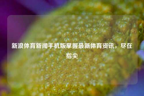 新浪体育新闻手机版掌握最新体育资讯，尽在指尖