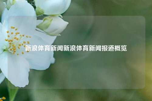 新浪体育新闻新浪体育新闻报道概览