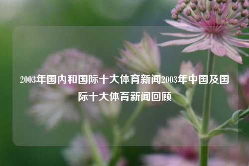 2003年国内和国际十大体育新闻2003年中国及国际十大体育新闻回顾