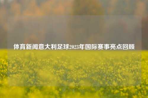 体育新闻意大利足球2023年国际赛事亮点回顾