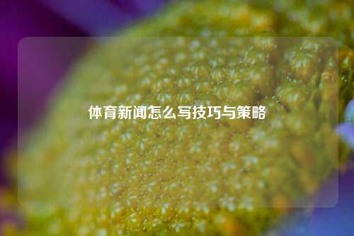体育新闻怎么写技巧与策略