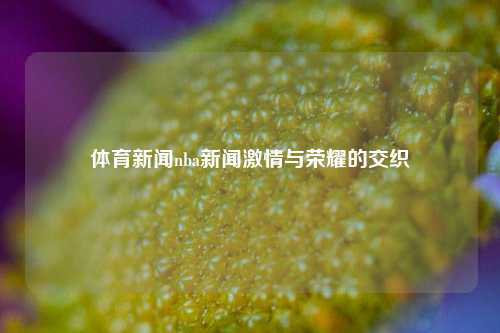 体育新闻nba新闻激情与荣耀的交织
