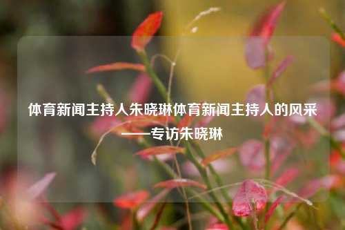 体育新闻主持人朱晓琳体育新闻主持人的风采——专访朱晓琳