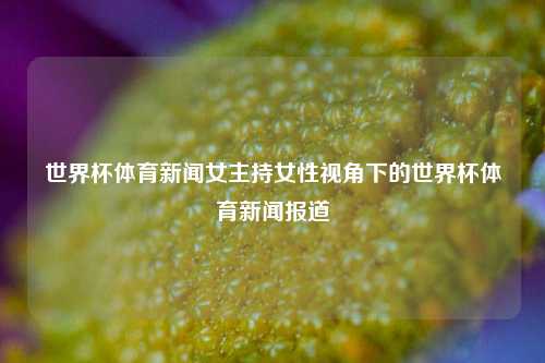 世界杯体育新闻女主持女性视角下的世界杯体育新闻报道