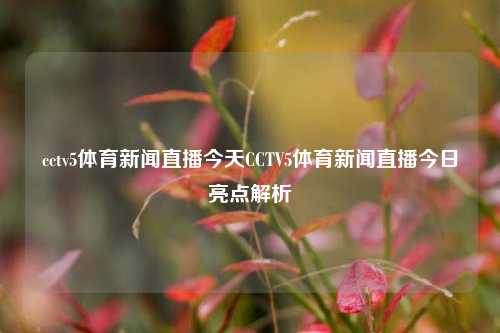 cctv5体育新闻直播今天CCTV5体育新闻直播今日亮点解析