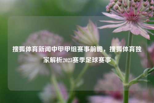 搜狐体育新闻中甲甲组赛事前瞻，搜狐体育独家解析2023赛季足球赛事