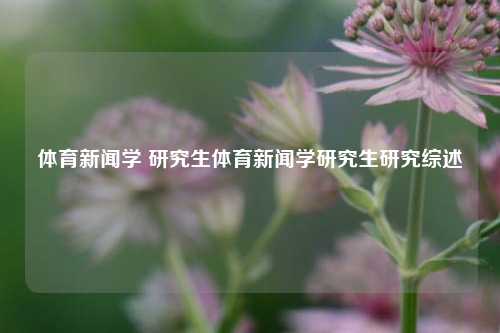 体育新闻学 研究生体育新闻学研究生研究综述