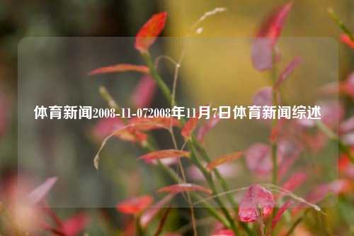 体育新闻2008-11-072008年11月7日体育新闻综述