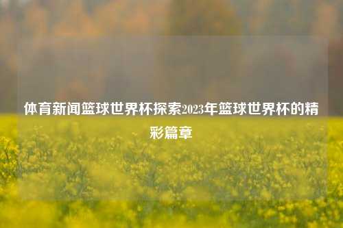 体育新闻篮球世界杯探索2023年篮球世界杯的精彩篇章