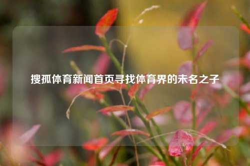搜孤体育新闻首页寻找体育界的未名之子