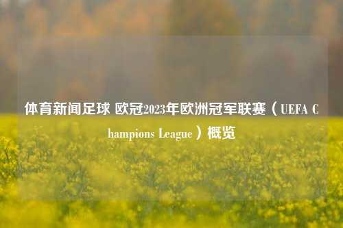 体育新闻足球 欧冠2023年欧洲冠军联赛（UEFA Champions League）概览
