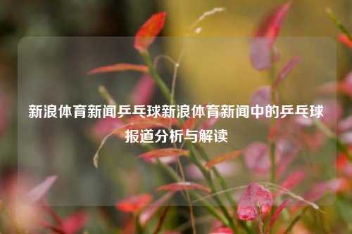 新浪体育新闻乒乓球新浪体育新闻中的乒乓球报道分析与解读