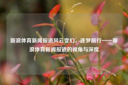 新浪体育新闻报道风云变幻，逐梦前行——新浪体育新闻报道的视角与深度