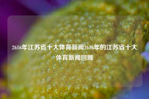 2616年江苏省十大体育新闻2616年的江苏省十大体育新闻回顾