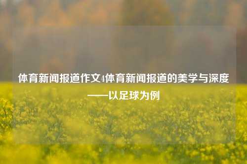 体育新闻报道作文4体育新闻报道的美学与深度——以足球为例
