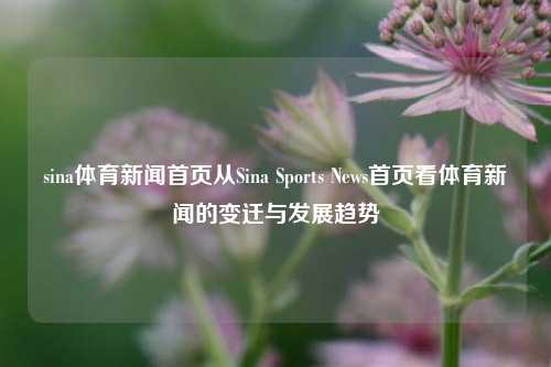 sina体育新闻首页从Sina Sports News首页看体育新闻的变迁与发展趋势