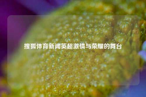搜狐体育新闻英超激情与荣耀的舞台