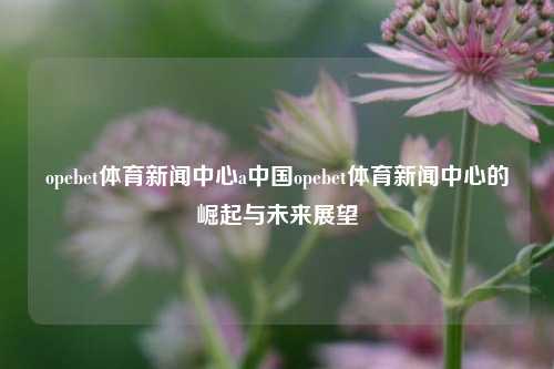 opebet体育新闻中心a中国opebet体育新闻中心的崛起与未来展望