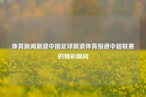 体育新闻新浪中国足球新浪体育报道中超联赛的精彩瞬间