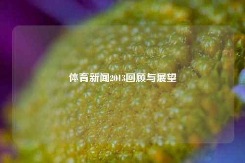 体育新闻2013回顾与展望