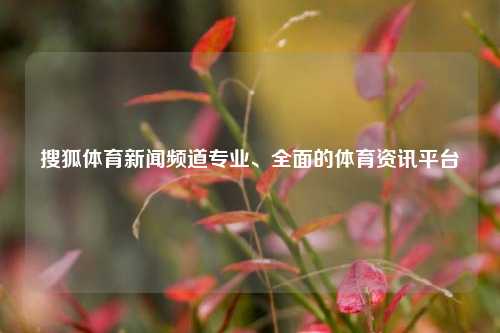 搜狐体育新闻频道专业、全面的体育资讯平台