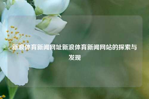 新浪体育新闻网址新浪体育新闻网站的探索与发现