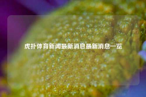 虎扑体育新闻最新消息最新消息一览