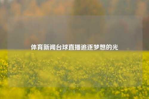 体育新闻台球直播追逐梦想的光