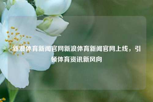 新浪体育新闻官网新浪体育新闻官网上线，引领体育资讯新风向