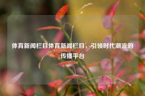 体育新闻栏目体育新闻栏目，引领时代潮流的传播平台