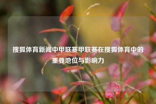 搜狐体育新闻中甲联赛甲联赛在搜狐体育中的重要地位与影响力