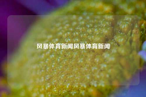 风暴体育新闻风暴体育新闻