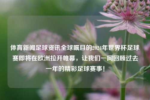 体育新闻足球资讯全球瞩目的2024年世界杯足球赛即将在欧洲拉开帷幕，让我们一同回顾过去一年的精彩足球赛事！